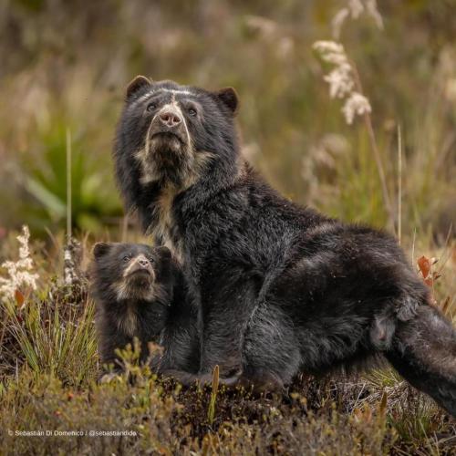 20240514_154141