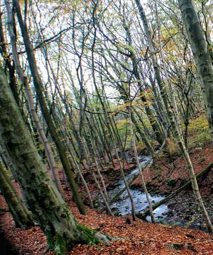 PicsArt_11-12-07.07.44-01