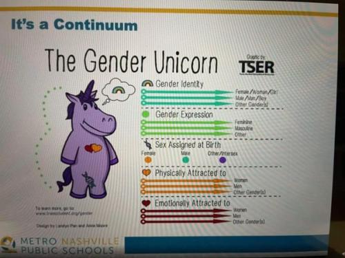 GENDER UNICORN