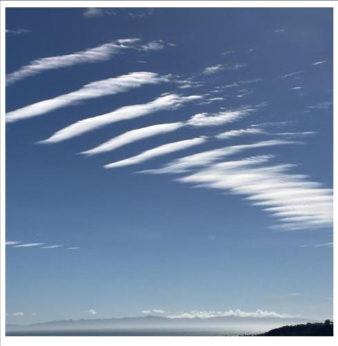 bc661d14-603d-4a50-9bbb-e7ebd45b113b