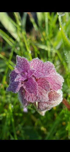 Screenshot_20240522_144526_Photos