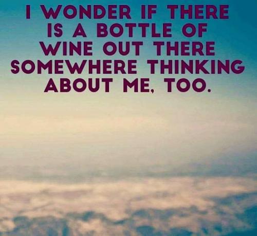 442420528_884089430401578_4064969918640574092_n