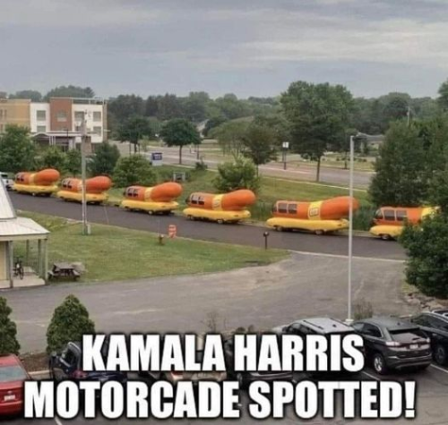 image_2024-05-19_113655485