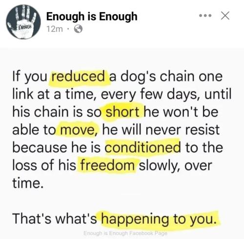 Screenshot_20240524_113802_Lite