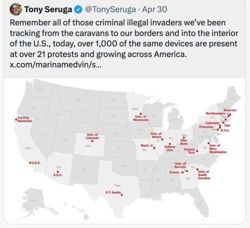 xephula_fdec4c9113ddcd0019f077cdd6dc9419