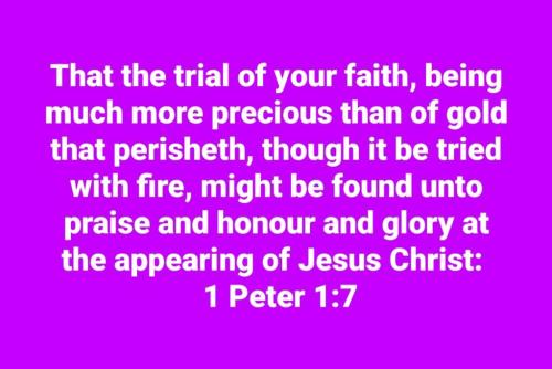 8e8b222d-fae6-4337-8061-35655f6f26de