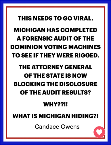 michigandominionaudit