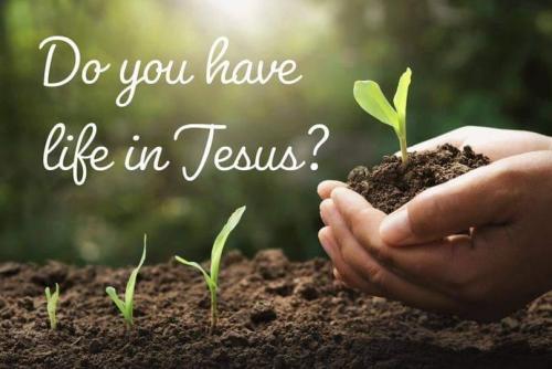 fb84d15e-3bb9-4afc-bda1-fa8aef3d4f32