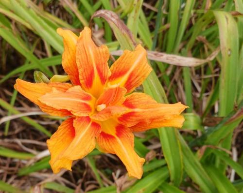 02fd29ea-6c55-4520-9934-7e5ddd9fb04c