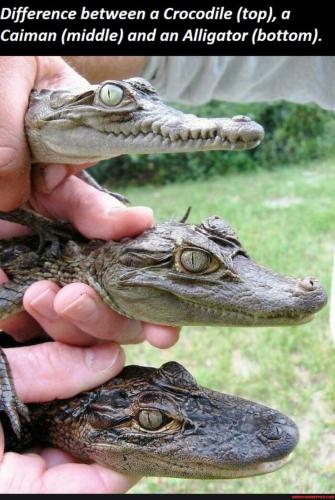 bf323f9660ef44c7330745ce13ea2a525a77cf03953e8c28f4f3174a885e9893_1