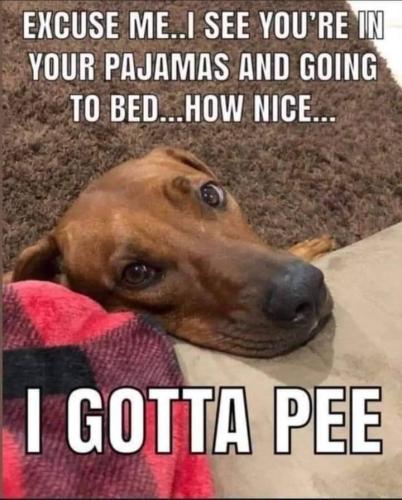 excuse-see-pajamas-and-going-bed-nice-gotta-pee