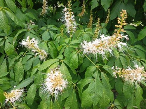 ea0dfb90-7bf5-4181-a8fc-b9dbbf888c3b