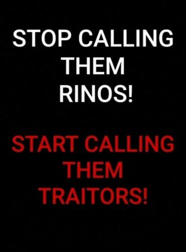 Rinos 1