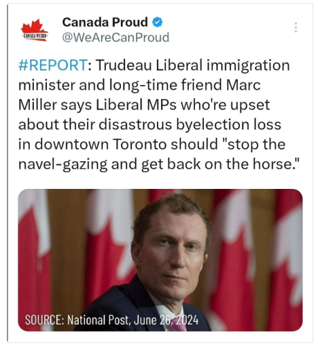 back on the horse
