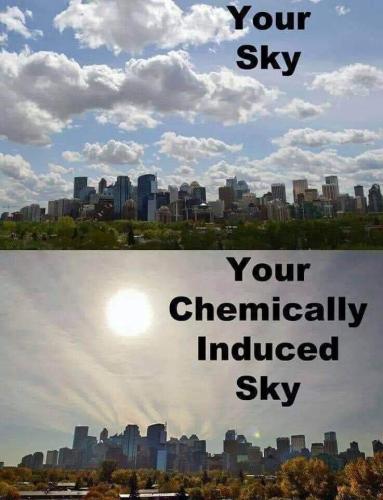 your sky