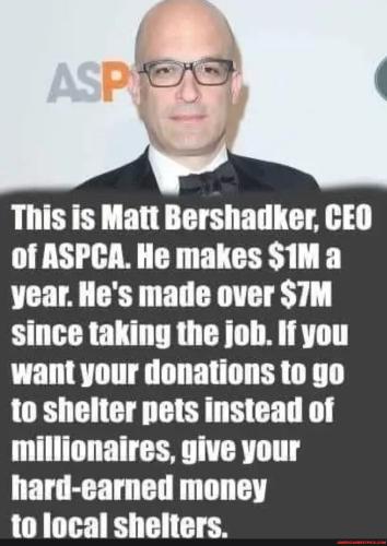 75bdd56c987aac83ec8c8f5c65a18d356cf0458479f6a2cfcffac86097f08bb4_1