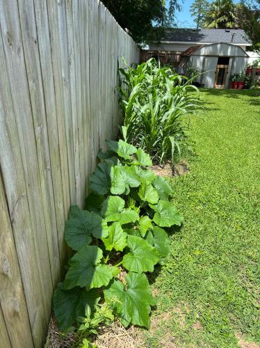 747D1DEA-48C0-4DA8-AC24-C71CDAA6B9AF