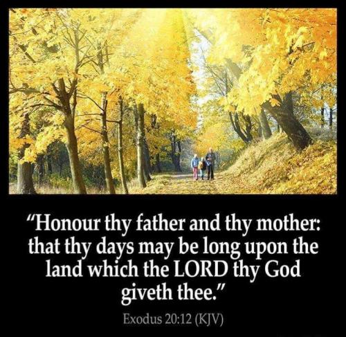 91091f02-32e2-42f4-9803-46ae2ebe6bce