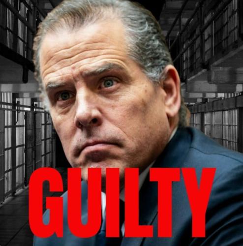 Screenshot_20240611_130214_Samsung Internet