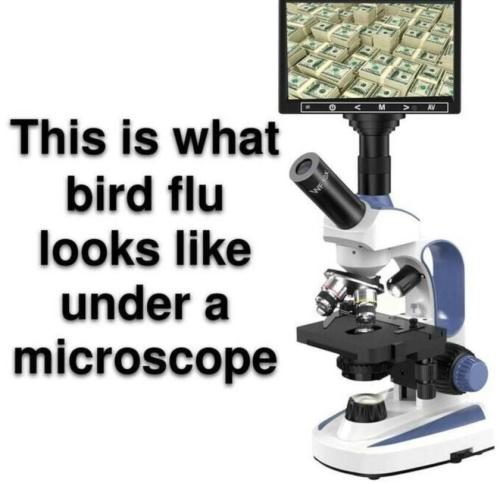 image_129DAF57-33A9-493A-898E-93B73FA36B3A