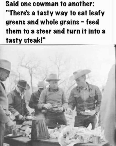 448207246_122155954490203038_7126366061906750635_n