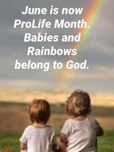 90D687DB-8744-4A13-B2D3-D9E7D62D7F0C-67807-0000509CF4F932E6