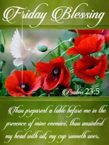 1ffa6cc6-1dcb-4a9b-bdf8-58b6afeca43e