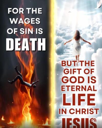 ec0e3621-7fa7-4f91-8386-3bb5133ad0a7