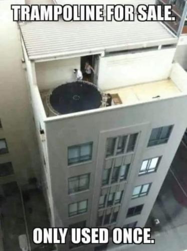 image_0BE2F2CF-1385-4844-9187-C0C0DE6A050C