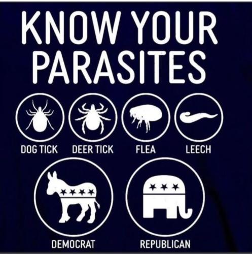 Screenshot_20240611_094351_Instagram