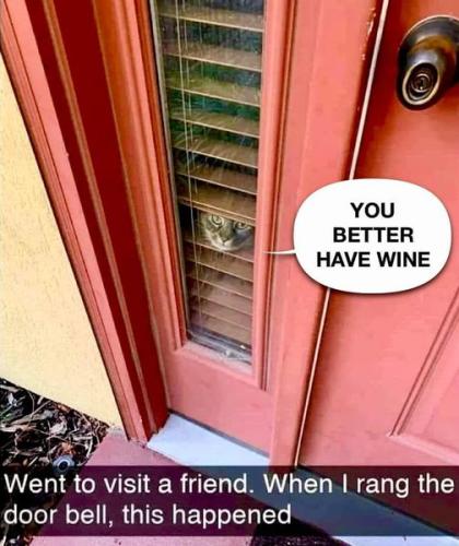 448401582_898878138922707_4786263904685236363_n