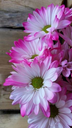 img-520f4410