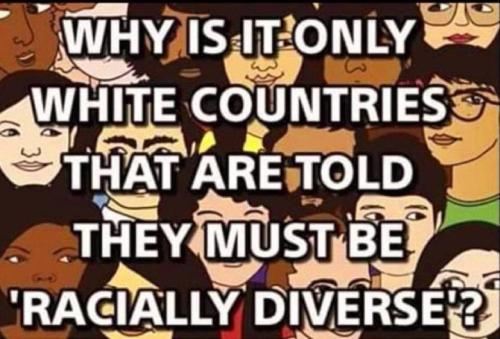 IMG_20240627_141527_271