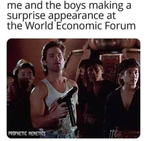 image_C883D460-BFE8-41D6-9754-04683F94F21F