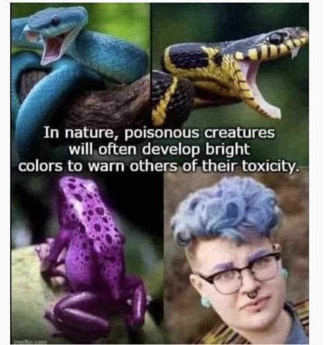 Screenshot_20240607_103310_Outlook