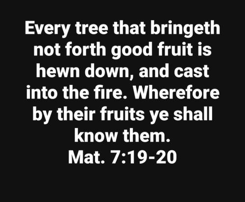 bef3b78d-b22e-4004-a1c1-217f0410fd0d