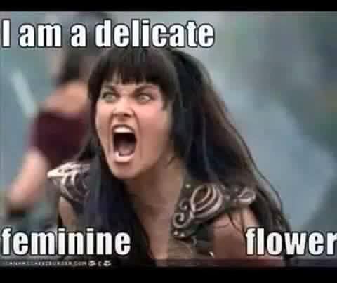 13413765_626288057520782_4819005664359517286_n