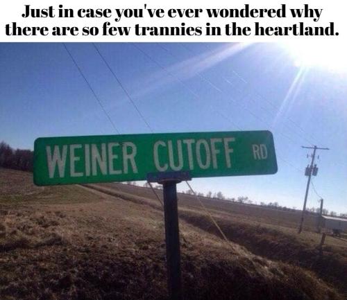 Weiner cutoff road.960px