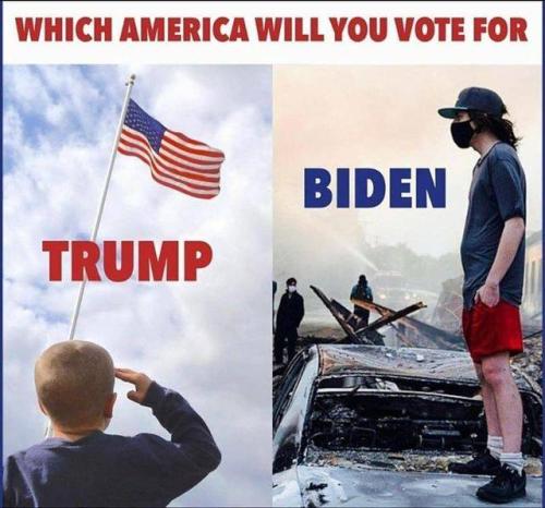 trump biden vote
