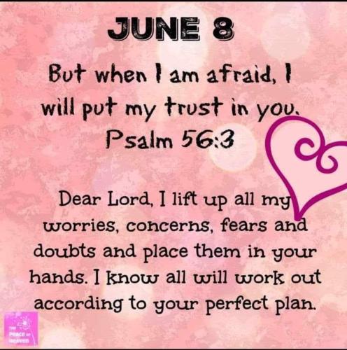 447663669_385353437870634_2880990843158008279_n