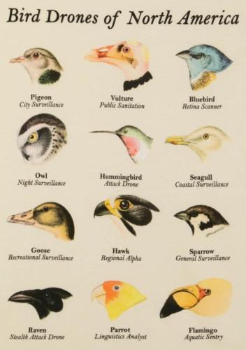 Birds are not real drone chart.
