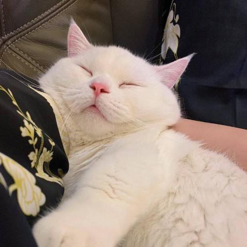 448385009_122112260240331561_4439592428725798921_n