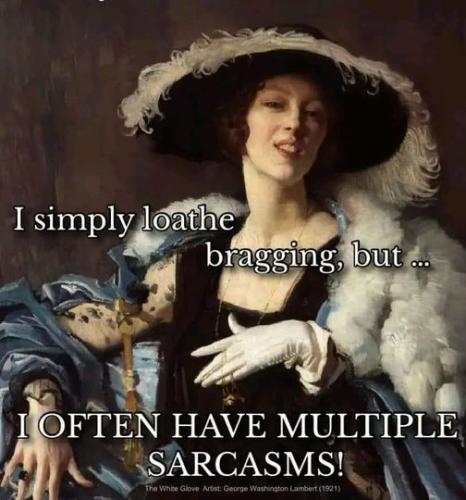 ihavemultiplesarcasms