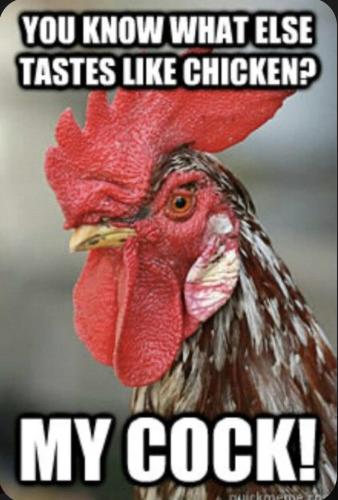 image_503B41F5-30B7-4CF8-B7FF-E142F54A11F4