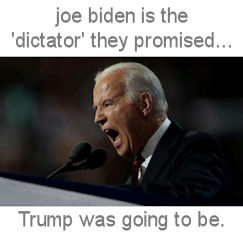 biden1631