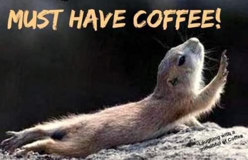 444782483_8138870146137468_2570171609737688862_n