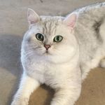 289603055_335061895314107_7178134031092680412_n