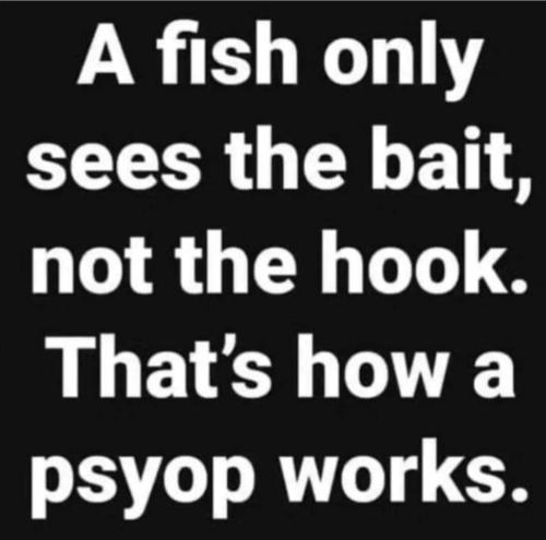 Screenshot_20240629_132459_Facebook