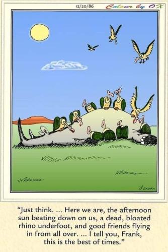 image_649C7822-8F57-450B-BC0A-F280568043C1