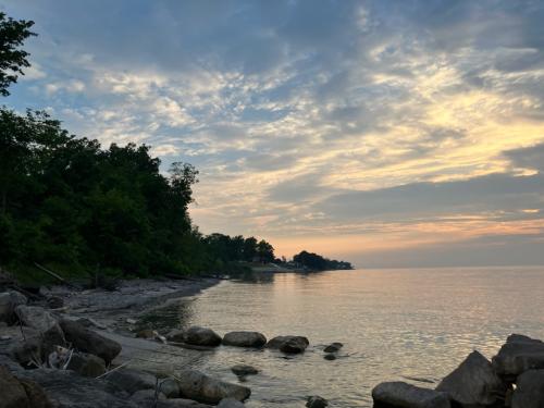 E5B6BA65-014E-4F4C-938F-8853491F8727